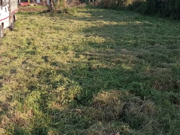 terreno agricolo in vendita a Bracciano in zona Lungolago