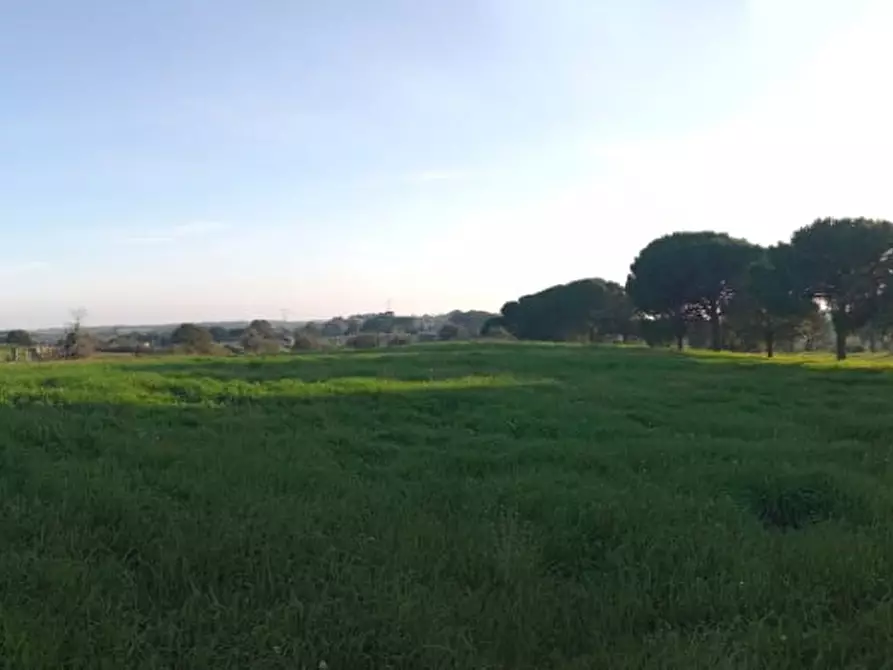 ufficio in vendita a Bracciano
