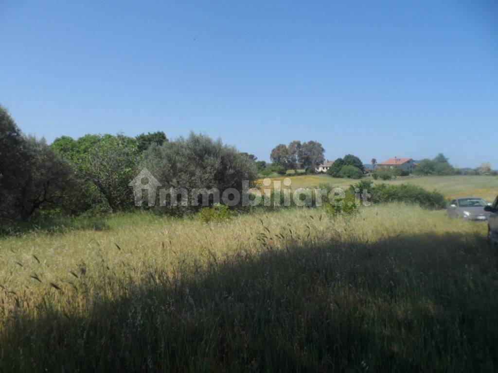 casa indipendente in vendita a Bracciano in zona Castel Giuliano