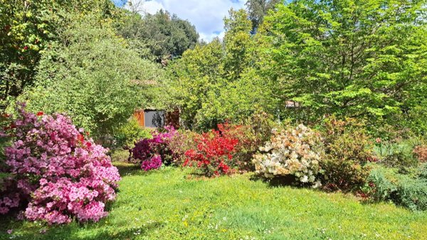 casa indipendente in vendita a Bracciano