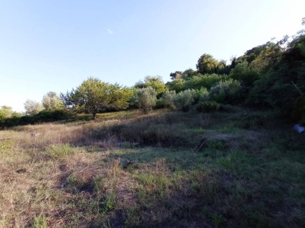 terreno in vendita a Bracciano