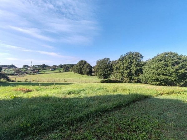 terreno in vendita a Bracciano