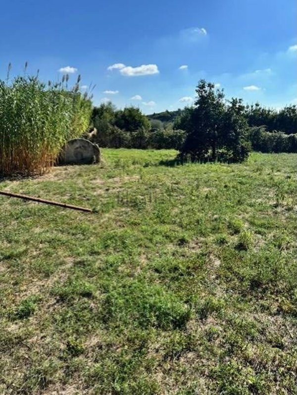 terreno in vendita a Bracciano