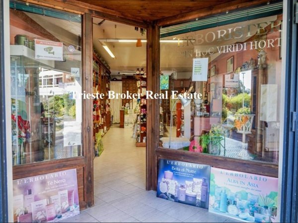 appartamento in vendita a Bracciano