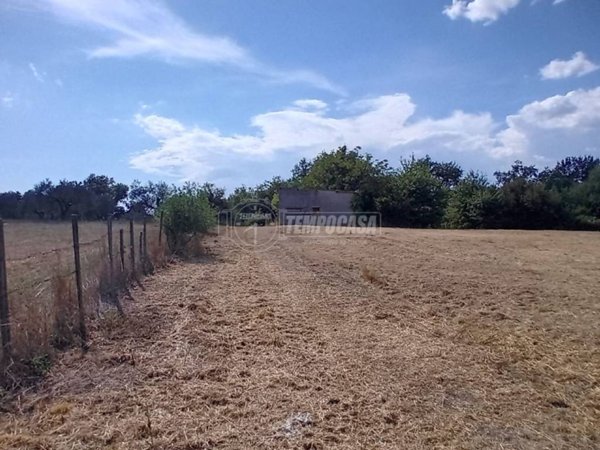 negozio in vendita a Campagnano di Roma