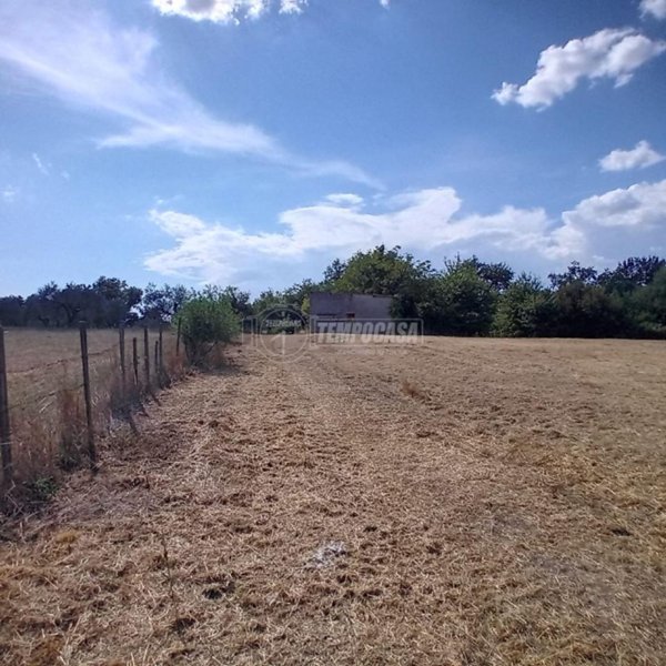 negozio in vendita a Campagnano di Roma