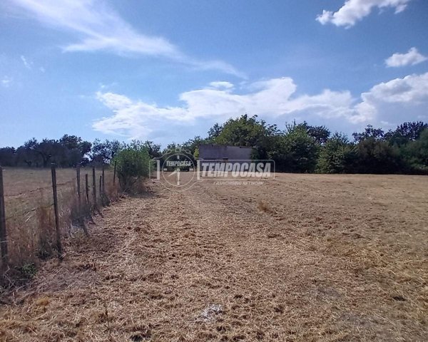 negozio in vendita a Campagnano di Roma