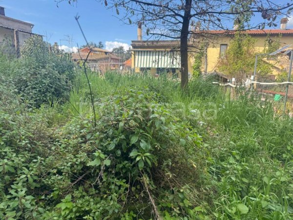 terreno agricolo in vendita a Campagnano di Roma