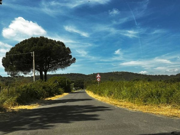 terreno agricolo in vendita a Campagnano di Roma