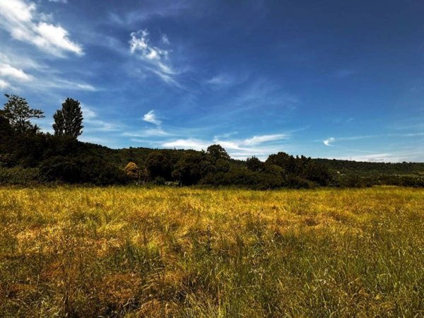terreno agricolo in vendita a Campagnano di Roma
