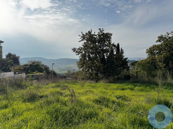terreno agricolo in vendita a Campagnano di Roma