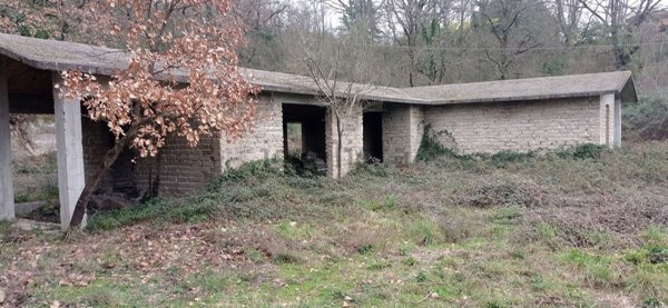 immagine annuncio 0 di 1