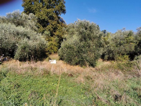 terreno agricolo in vendita a Campagnano di Roma