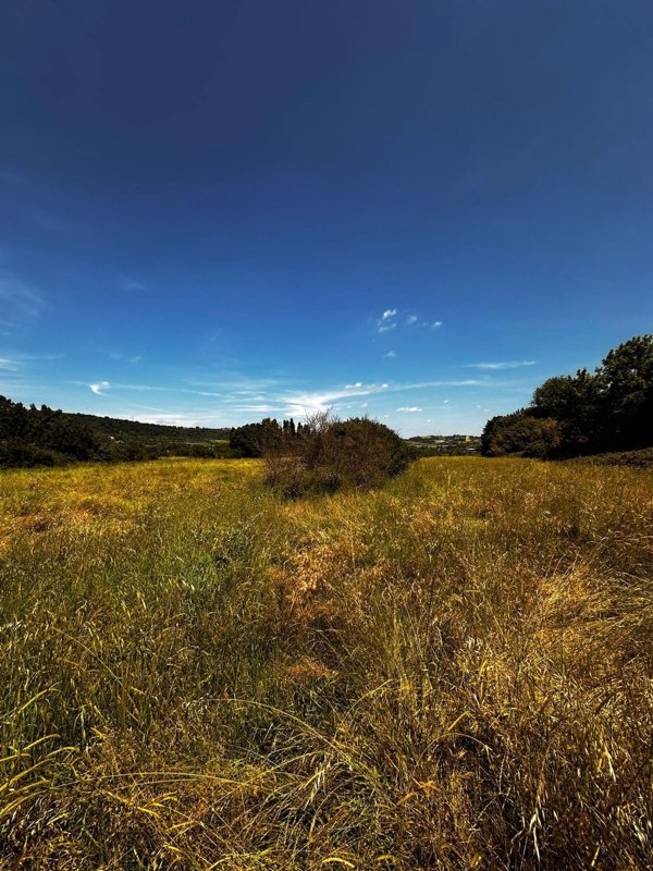 terreno agricolo in vendita a Campagnano di Roma