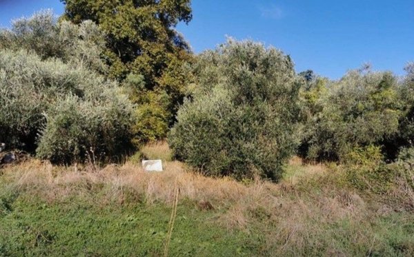 terreno edificabile in vendita a Campagnano di Roma