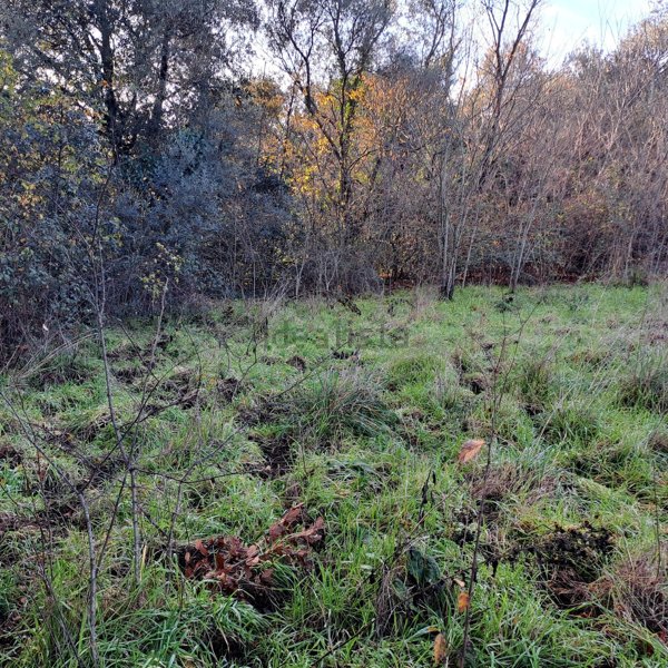 terreno agricolo in vendita a Campagnano di Roma