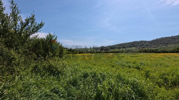 terreno agricolo in vendita a Campagnano di Roma