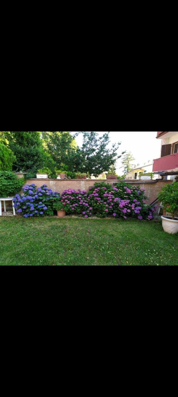 casa indipendente in vendita a Campagnano di Roma