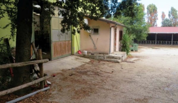 ufficio in vendita a Campagnano di Roma
