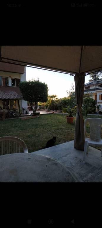 immagine annuncio 0 di 15