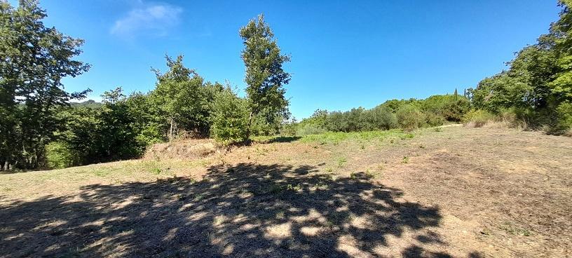 terreno agricolo in vendita a Canale Monterano