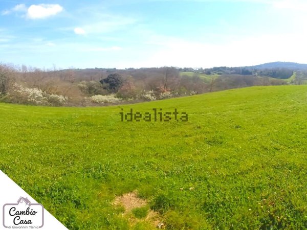 terreno agricolo in vendita a Canale Monterano