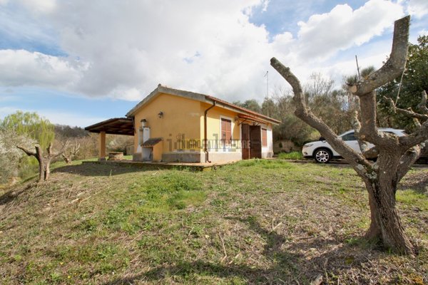 immagine annuncio 0 di 1