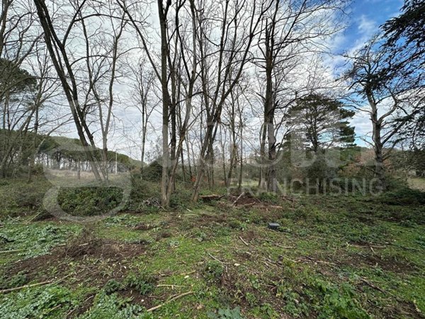 terreno agricolo in vendita a Canale Monterano