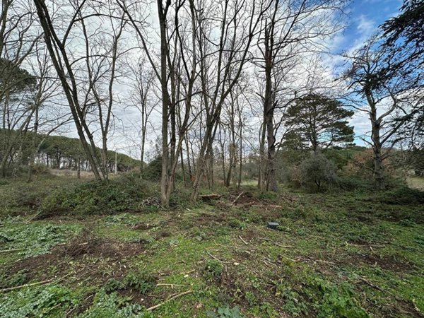 terreno agricolo in vendita a Canale Monterano