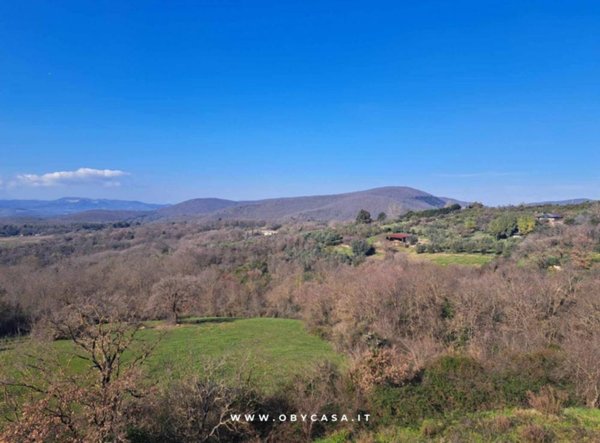 casa indipendente in vendita a Canale Monterano