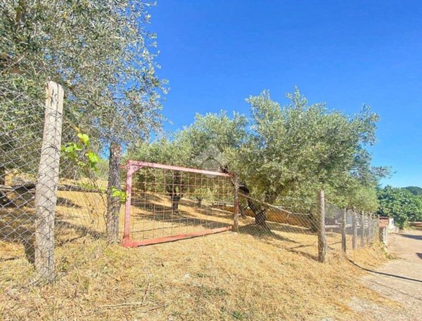 terreno agricolo in vendita a Canale Monterano