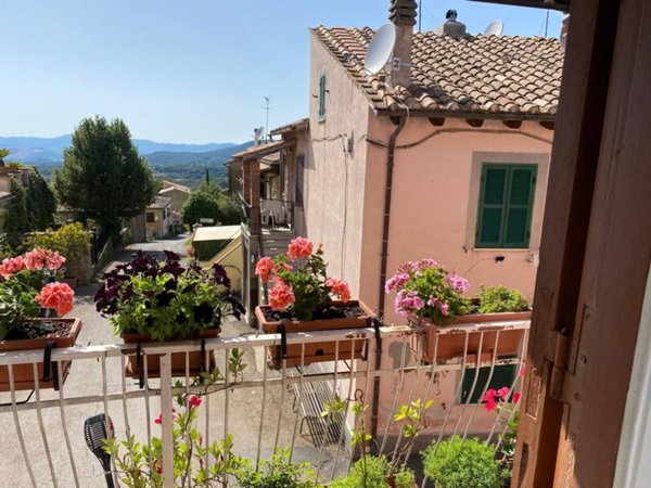 appartamento in vendita a Canale Monterano