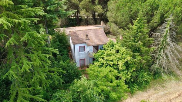 casa indipendente in vendita a Canale Monterano
