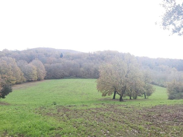 terreno agricolo in vendita a Canale Monterano