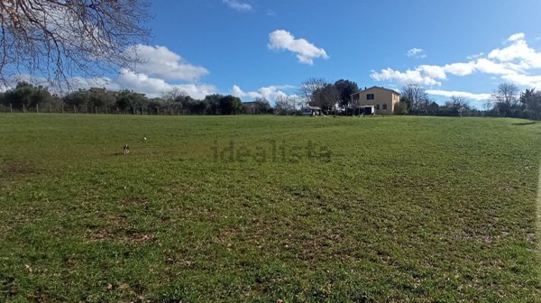 casa indipendente in vendita a Canale Monterano