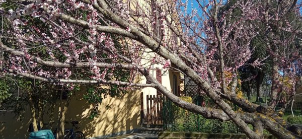 casa indipendente in vendita a Canale Monterano