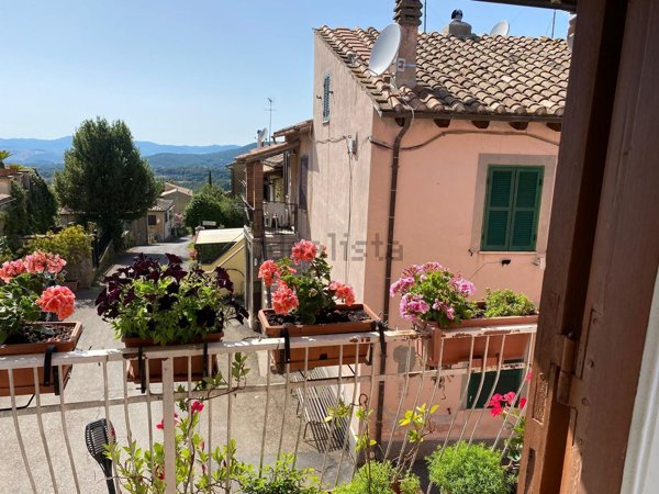 appartamento in vendita a Canale Monterano