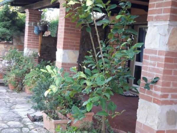 casa indipendente in vendita a Canale Monterano