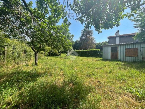 terreno agricolo in vendita a Canale Monterano