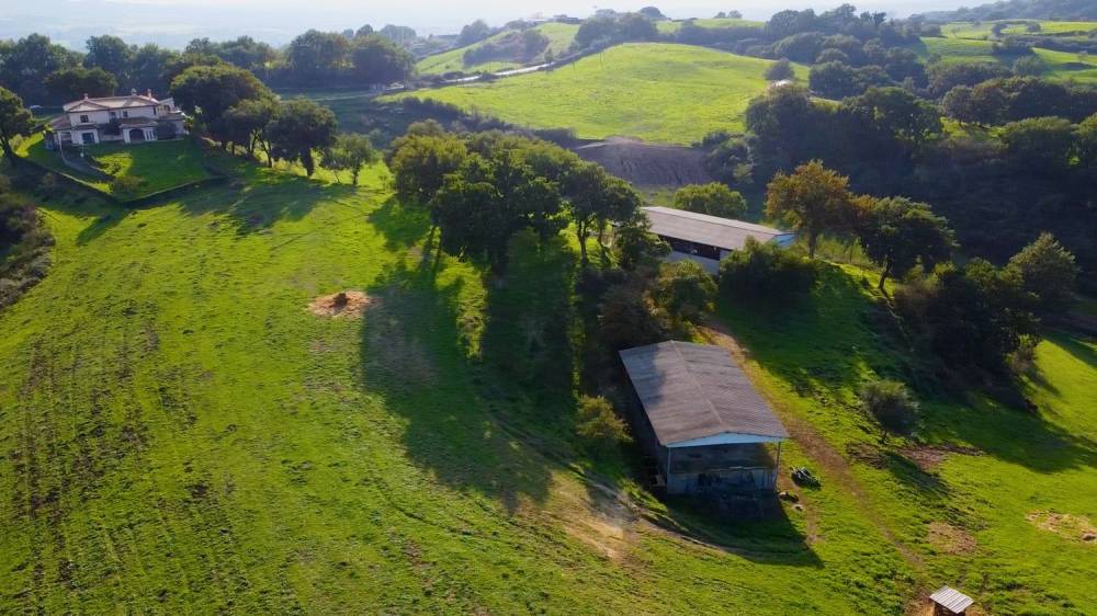 casa indipendente in vendita a Canale Monterano