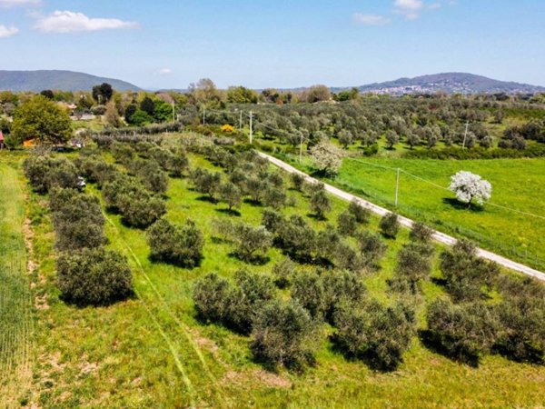 terreno agricolo in vendita a Canale Monterano