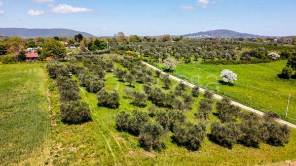 terreno agricolo in vendita a Canale Monterano