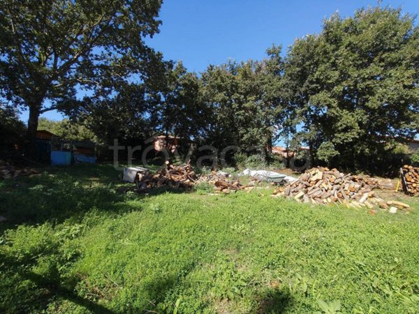 terreno edificabile in vendita a Canale Monterano in zona Montevirginio