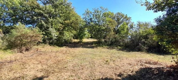 terreno in vendita a Canale Monterano