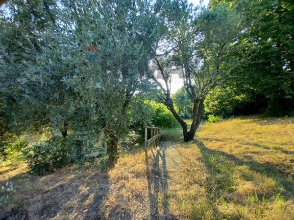 appartamento in vendita a Canale Monterano