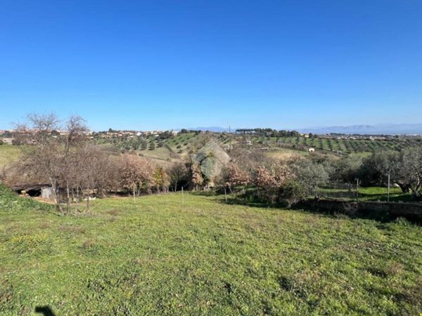 terreno agricolo in vendita a Capena