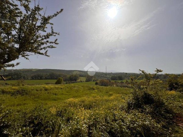 terreno agricolo in vendita a Capena