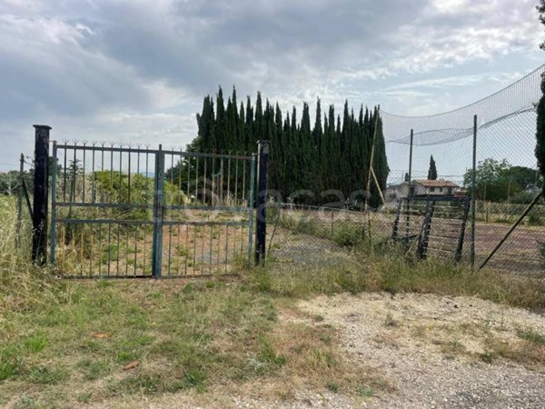 immagine annuncio 0 di 8