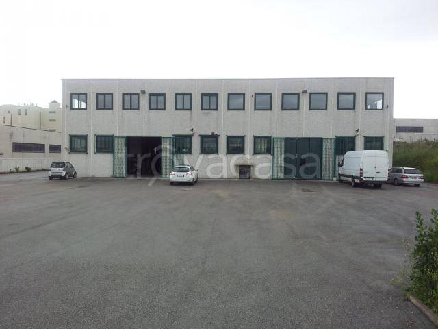 negozio in vendita a Capena