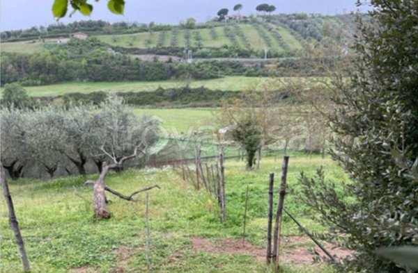 appartamento in vendita a Capena